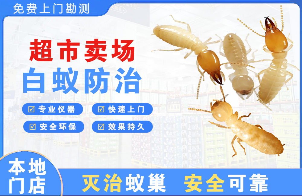 响水超市卖场白蚁防治