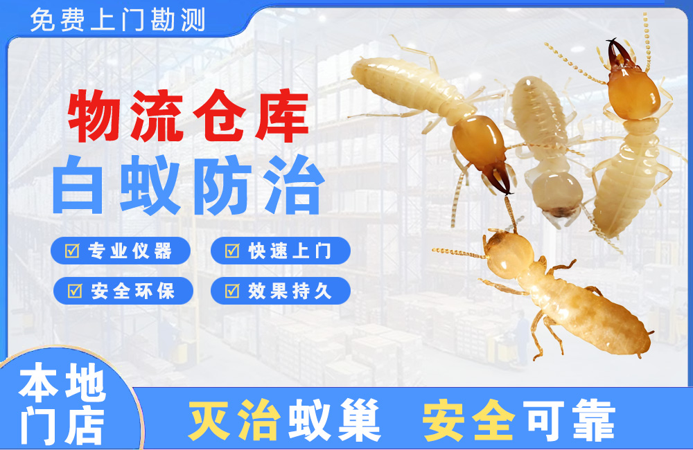响水物流仓库白蚁防治
