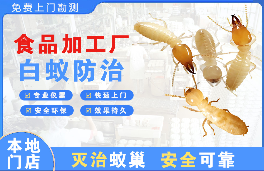 响水食品加工厂白蚁防治
