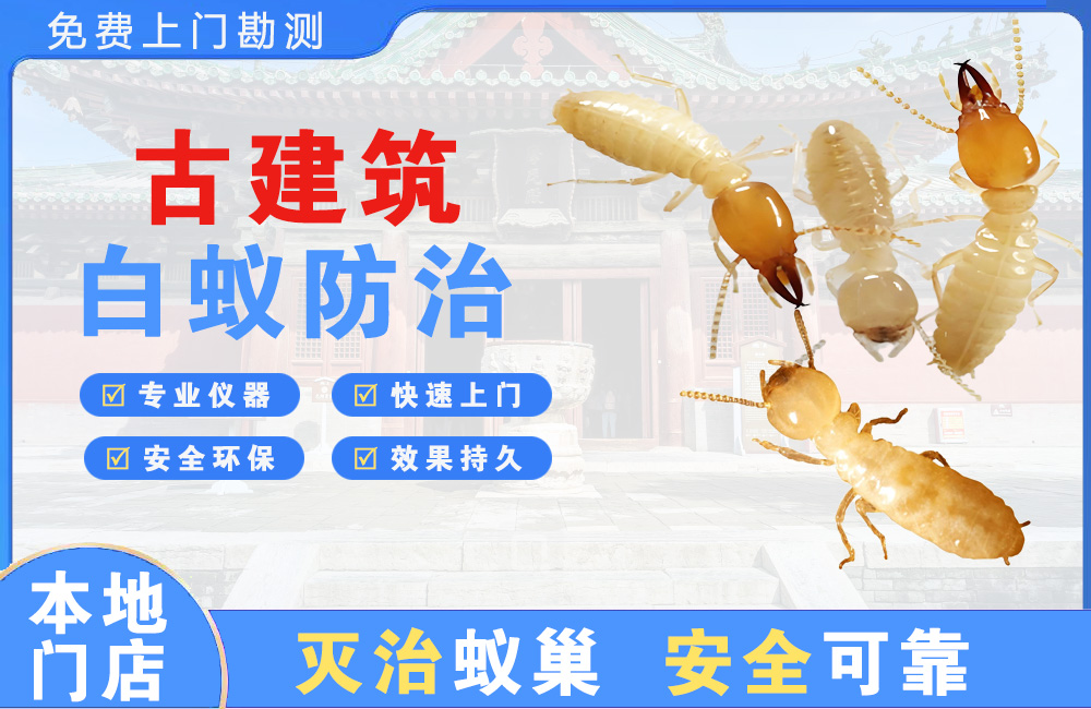 响水古建筑白蚁防治
