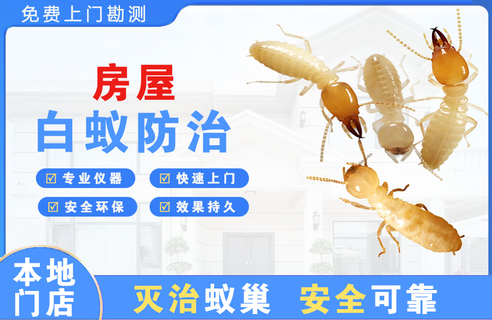 响水房屋白蚁防治