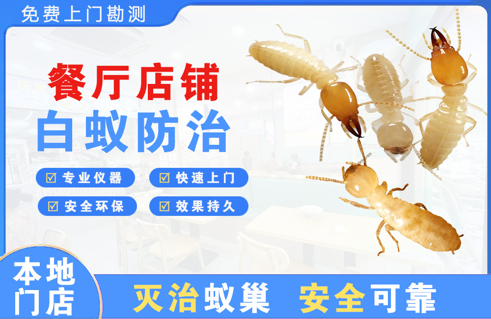 响水餐厅店铺白蚁防治